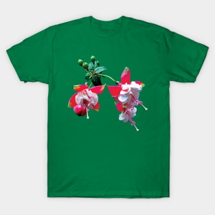 Fuschia - Cluster of Fuschia T-Shirt